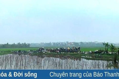Bãi rác nơi đồng ruộng