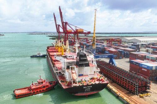 Đại diện Viettel, PVN, EVN nói gì về mục tiêu tăng trưởng GDP 8%?