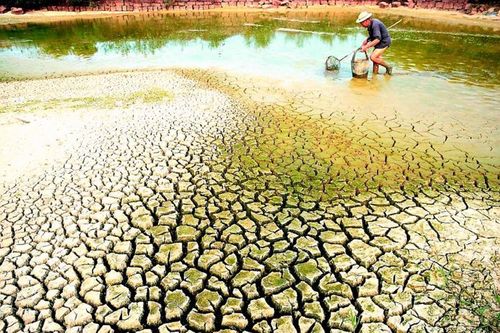 Đồng bằng sông Cửu Long sắp hứng chịu đợt xâm nhập mặn nặng nhất