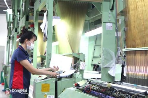 Nhiều tập đoàn FDI tăng vốn đầu tư vào Đồng Nai