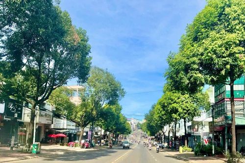 Thơ Sơn Trần: Nhớ Pleiku