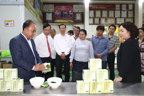 Đoàn công tác tỉnh Champasak - Lào tham quan, tìm hiểu tại DT Group