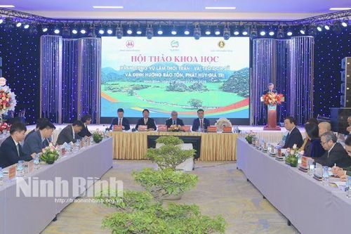 Hội thảo Khoa học 'Hành cung Vũ Lâm thời Trần-Vai trò lịch sử và định hướng bảo tồn, phát huy giá trị'