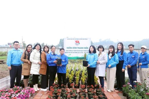 Tuổi trẻ Tam Nông góp thêm sắc xanh cho quê hương