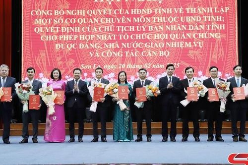 Sắp xếp, tinh gọn bộ máy cơ quan chuyên môn thuộc UBND cấp tỉnh, cấp huyện