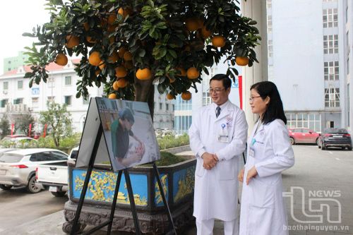 Chuyện về cặp vợ chồng đều là Thầy thuốc ưu tú
