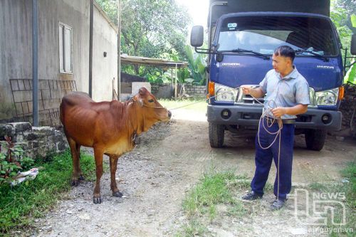 Gương sáng đảng viên người dân tộc thiểu số