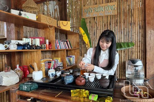 Đặt 'tâm' trong từng sản phẩm chè an toàn
