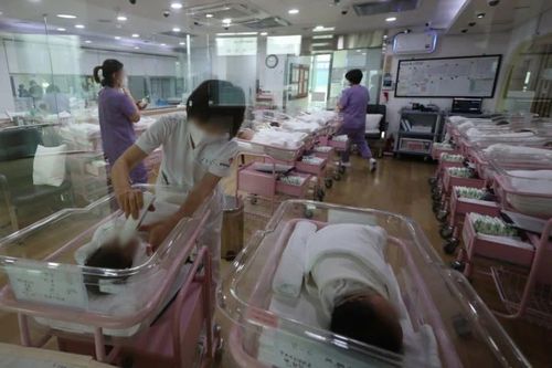 Tỷ lệ sinh ở Hàn Quốc lần đầu tiên tăng trong gần một thập kỷ