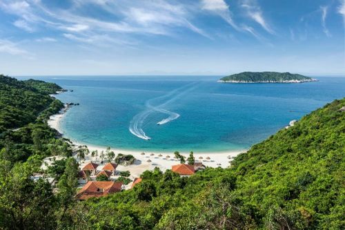 Nỗ lực bảo tồn thiên nhiên ở Cù Lao Chàm