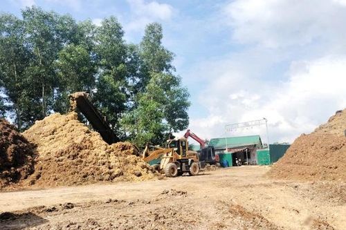 Phê bình địa phương vì để các cơ sở băm dăm hoạt động không phép