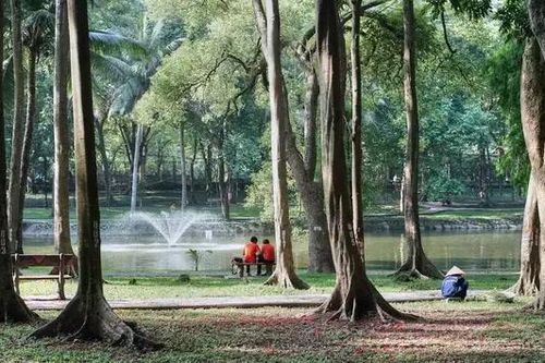 Công viên Bách Thảo sẽ được cải tạo trong năm 2025