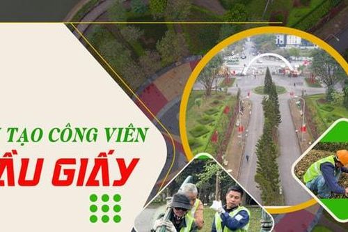 Cải tạo công viên Cầu Giấy