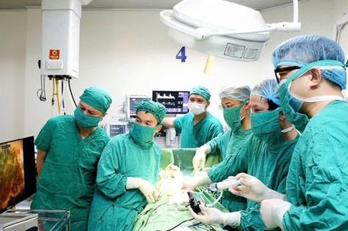Ngành Y tế Hà Tĩnh phát triển kỹ thuật chuyên sâu, nâng cao chất lượng khám chữa bệnh
