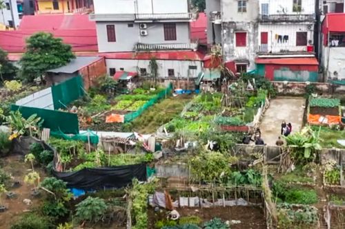 Hà Nội chỉ đạo làm rõ thông tin 'lấn chiếm đất ở dự án treo 20 năm'