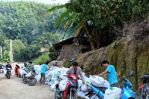 Giá sắn xuống thấp, người dân lo lắng