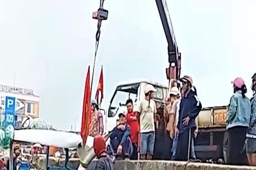 Quảng Ngãi: Ngư dân Lý Sơn câu được cá nhám nặng hơn 200 kg