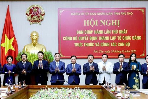 Phú Thọ: Công bố quyết định thành lập tổ chức Đảng trực thuộc và công tác cán bộ