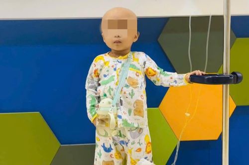 Hai quỹ quyên góp nước ngoài đều dừng chiến dịch ủng hộ bé Bắp