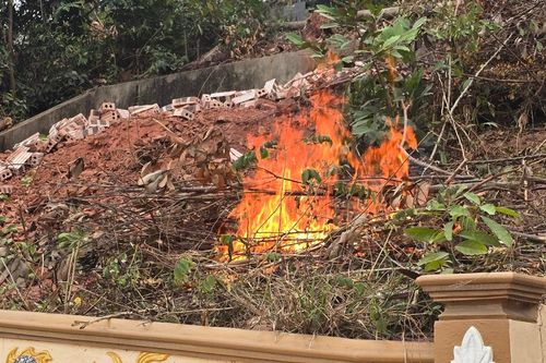 UBND TP Thủy Nguyên xác minh việc chiếm đất rừng bán cho dân làm nghĩa trang