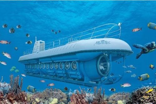 Quản lý tàu lặn hoạt động du lịch trong vùng nước cảng biển Việt Nam