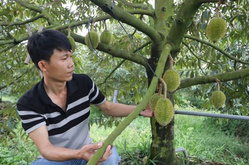An Giang xây dựng nông thôn mới