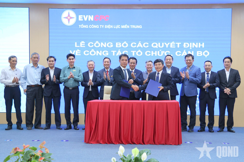 Sáp nhập Ban QLDA Điện nông thôn miền Trung vào Ban QLDA Lưới điện miền Trung