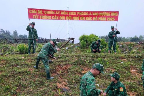 Tỷ lệ che phủ rừng ở Quảng Trị đạt gần 50%