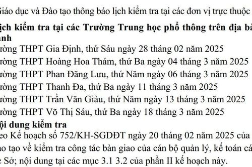 Sở GD&ĐT TPHCM kiểm tra tài chính, nhân sự nhiều trường THPT