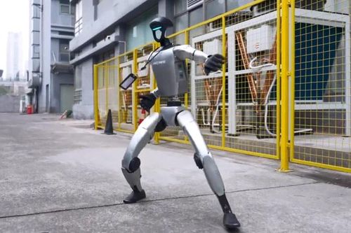 Xem robot hình người biểu diễn kung fu