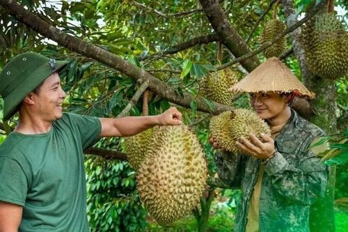 Gỡ điểm nghẽn, đưa nông sản Việt Nam thành 'bạn hàng' uy tín với khách hàng quốc tế