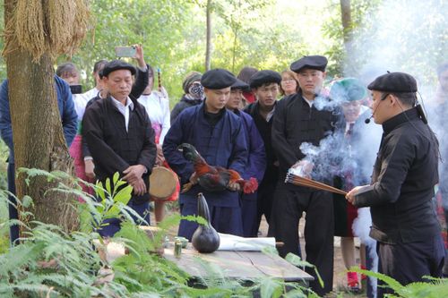 Lễ hội cúng rừng của đồng bào dân tộc Mông