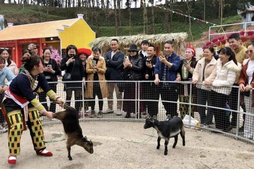 Lào Cai: 2 tháng đầu năm đón hơn 2 triệu lượt du khách
