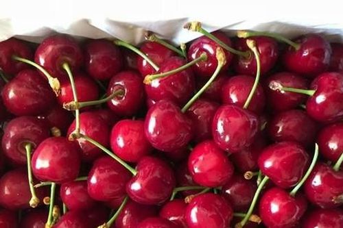 Khủng hoảng chưa từng có của 'nữ hoàng' trái cây