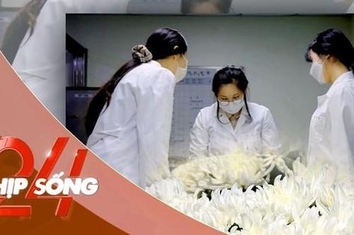 NHỊP SỐNG 24: Phụ nữ Hàn Quốc đổ xô vào ngành tang lễ