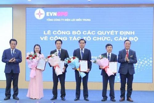 Sáp nhập Ban QLDA Điện nông thôn miền Trung vào Ban QLDA Lưới điện miền Trung