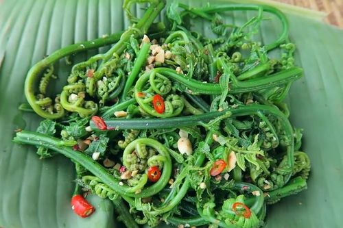 Đặc sản 'trời ban' ở miền Bắc càng hái càng mọc, ăn ngon lại tốt cho sức khỏe