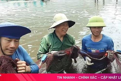 TP Hà Tĩnh trang bị cách về phòng, chống dịch bệnh trên tôm nuôi