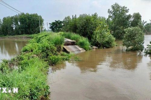 Đắk Nông: Sạt lở ven sông Krông Nô đe dọa kênh mương, đường giao thông