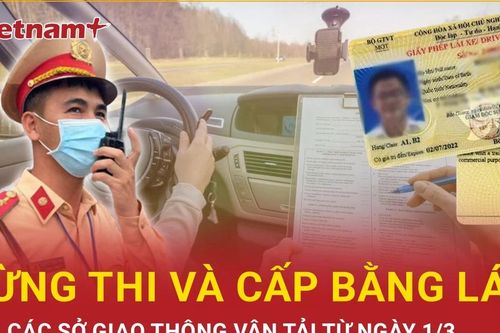 Vì sao các sở giao thông vận tải phải dừng sát hạch và cấp bằng lái từ tháng 3?
