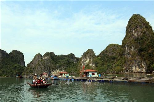 Quảng Ninh: Chưa cấp phép việc tổ chức tiệc trong hang động trên vịnh Bái Tử Long