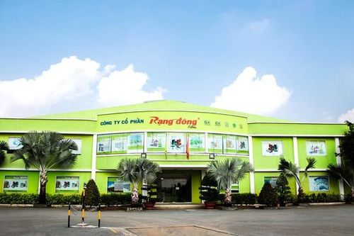 Rạng Đông Holding tạm ngừng hoạt động, nhân sự nghỉ việc hàng loạt