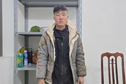 Làm rơi 10 triệu đồng, nam shipper tạo hiện trường giả bị cướp