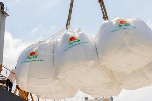 Ngành gạo năm 2024: Xuất khẩu bùng nổ, lợi nhuận teo tóp