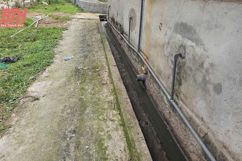 Xử phạt trang trại gây ô nhiễm môi trường