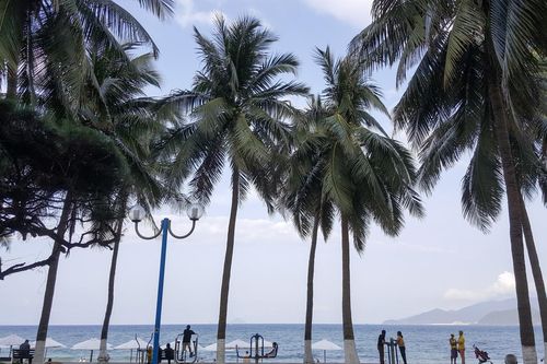 Thành phố lúc 5 giờ sáng