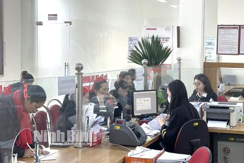 Agribank chi nhánh Nam Ninh Bình - Đồng hành cùng nông dân trong phát triển kinh tế