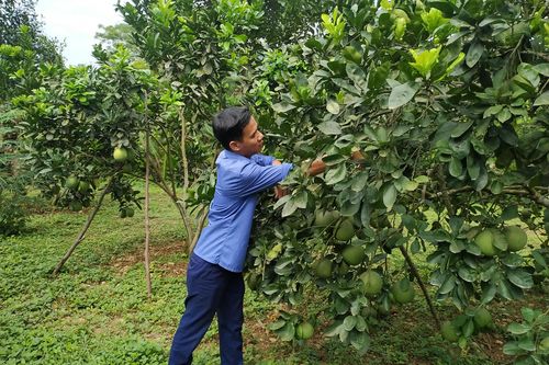 Nâng cao thu nhập, xây dựng nông thôn mới nâng cao