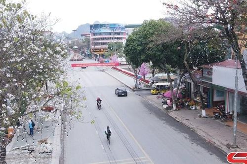 Khúc tình ca mùa xuân