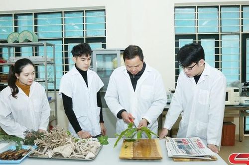 Đẩy mạnh phong trào nghiên cứu khoa học trong sinh viên